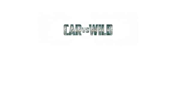 Car vs Wild Poster 2
