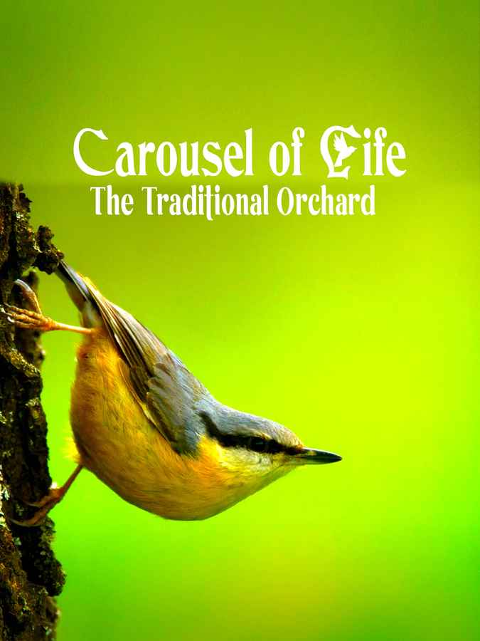 Carousel of Life - The Traditional Orchard