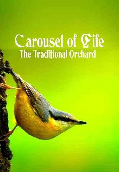 Carousel of Life - The Traditional Orchard