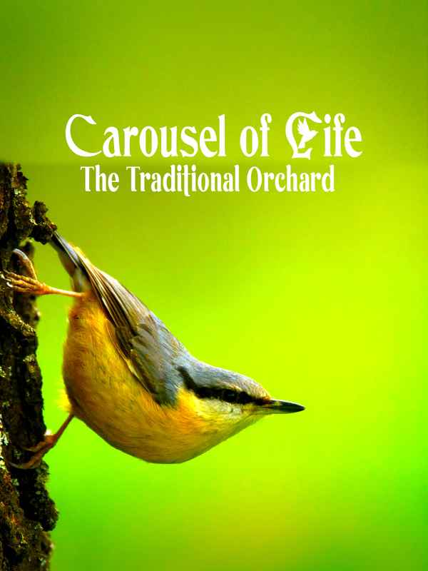 Carousel of Life - The Traditional Orchard Poster 1