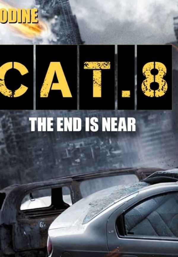 CAT. 8 Poster 4