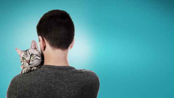 Cat Daddies Poster 1