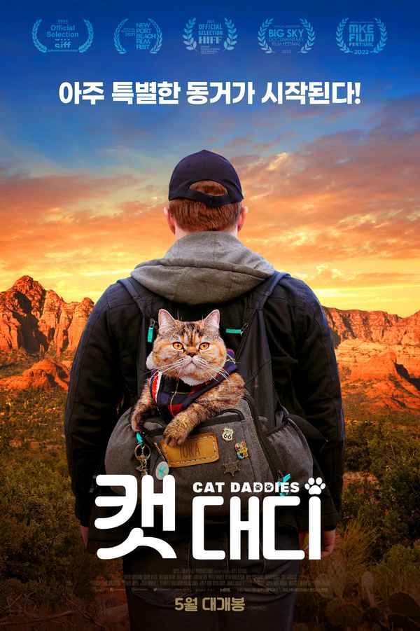 Cat Daddies Poster 7