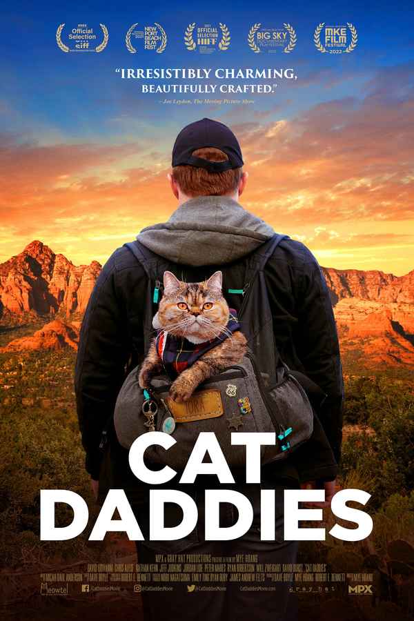 Cat Daddies Poster 4