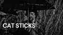 Cat Sticks Poster 5