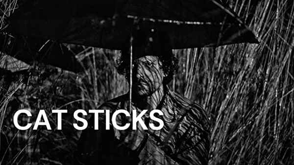 Cat Sticks Poster 5