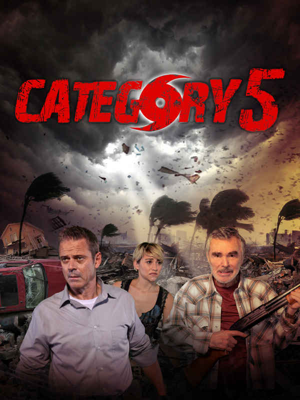 Category 5 Poster 4