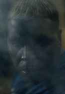 Caterpillar Poster 5