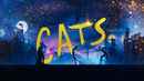Cats Poster 4