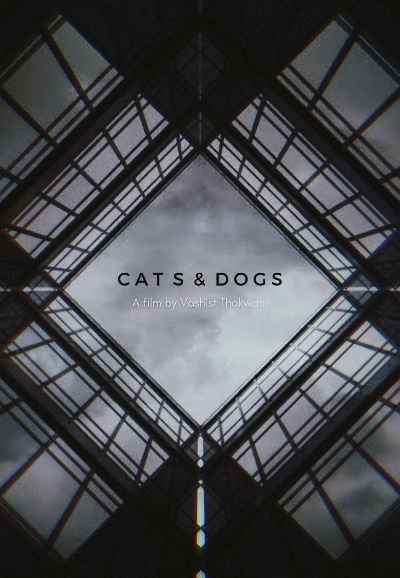 Cats & Dogs
