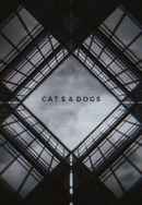 Cats & Dogs Poster 4