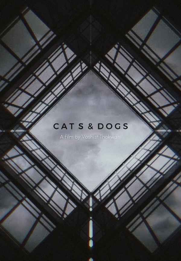 Cats & Dogs Poster 4