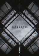 Cats & Dogs Poster 3