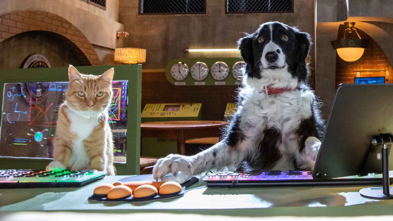 Cats Dogs 3 Paws Unite 2020 Trailer Family Comedy Movie Youtube