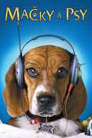 Cats and Dogs Poster 5