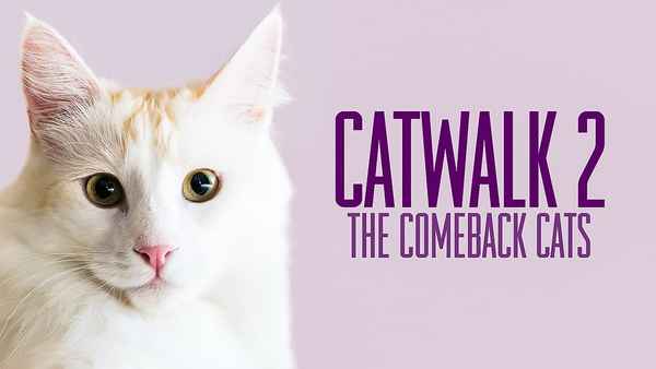 Catwalk 2: The Comeback Cats Poster 3