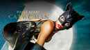 Catwoman Poster 4