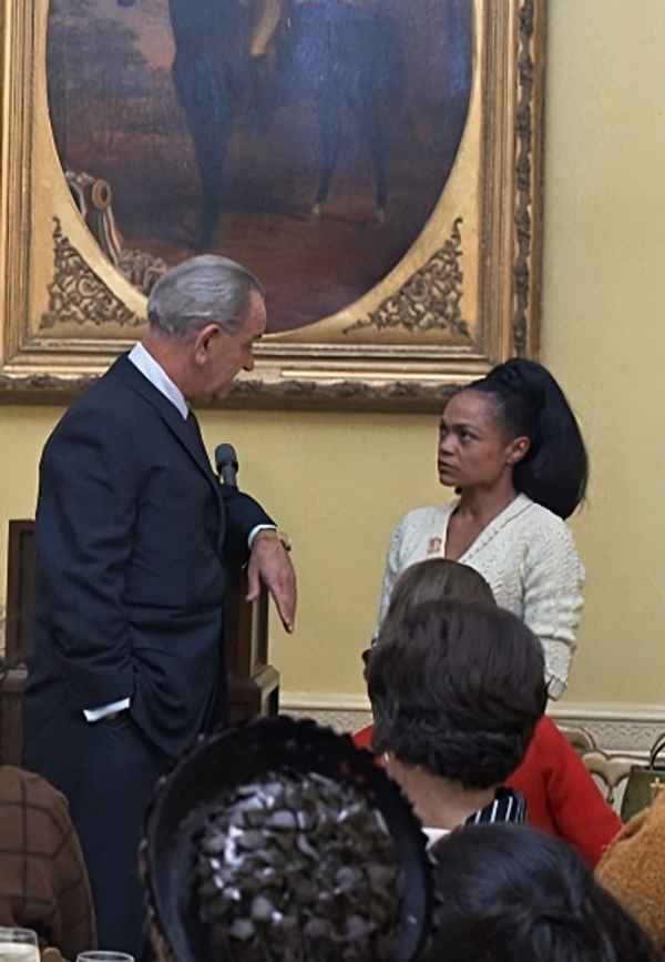 Catwoman vs. the White House Poster 2