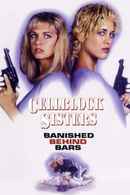 Cell Block Sisters: Banished Behind Bars Poster 3