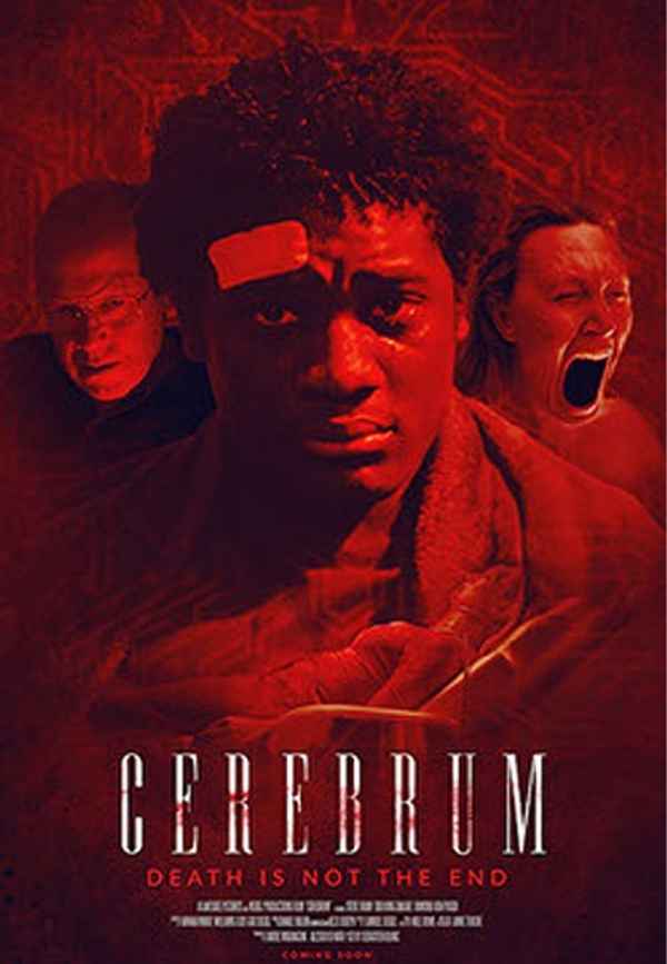 Cerebrum Poster 7