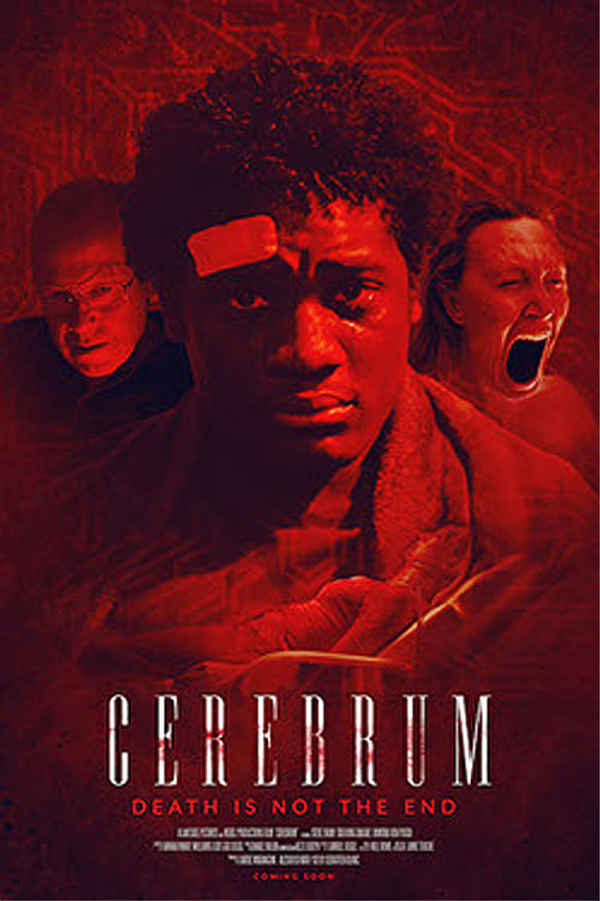 Cerebrum Poster 6