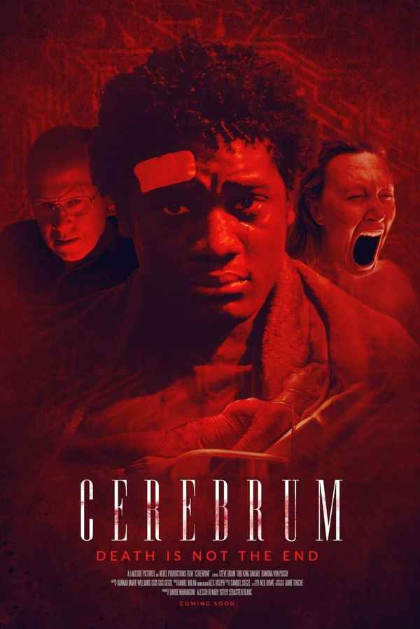 Cerebrum Poster 4