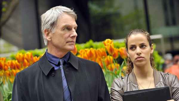 Certain Prey Poster 3