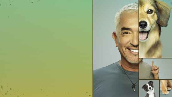 Cesar Millan: Better Human Better Dog Poster 1