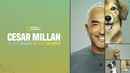 Cesar Millan: Better Human Better Dog Poster 4