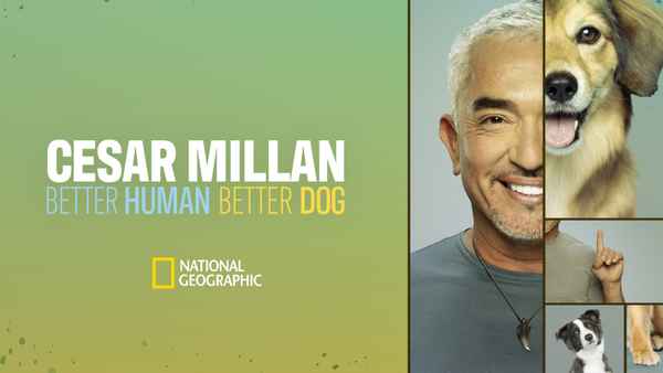 Cesar Millan: Better Human Better Dog Poster 5