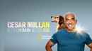 Cesar Millan: Better Human Better Dog Poster 7