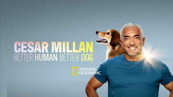 Cesar Millan: Better Human Better Dog Poster 7