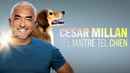 Cesar Millan: Better Human Better Dog Poster 6