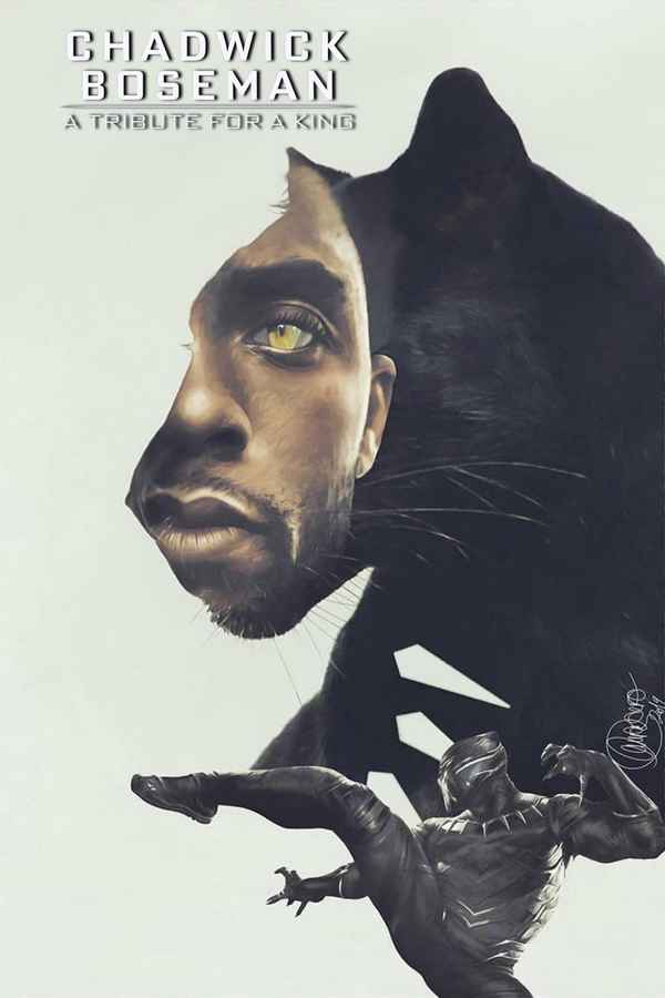 Chadwick Boseman: A Tribute for a King Poster 4