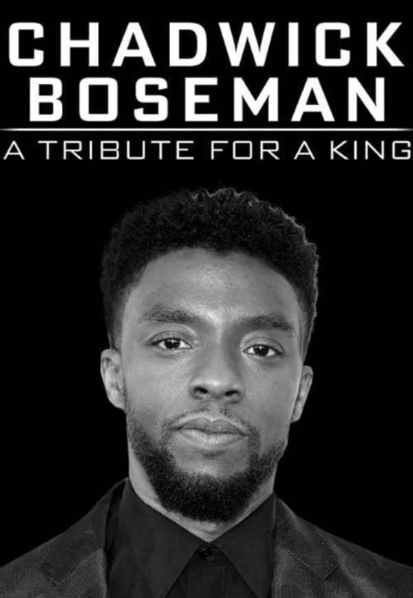 Chadwick Boseman: A Tribute for a King Poster 6