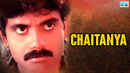 Chaitanya Poster 3