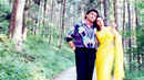 Chandni Poster 2