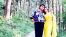 Chandni Poster 5