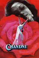 Chandni Poster 7