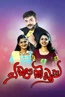 Changathipoocha Poster 1