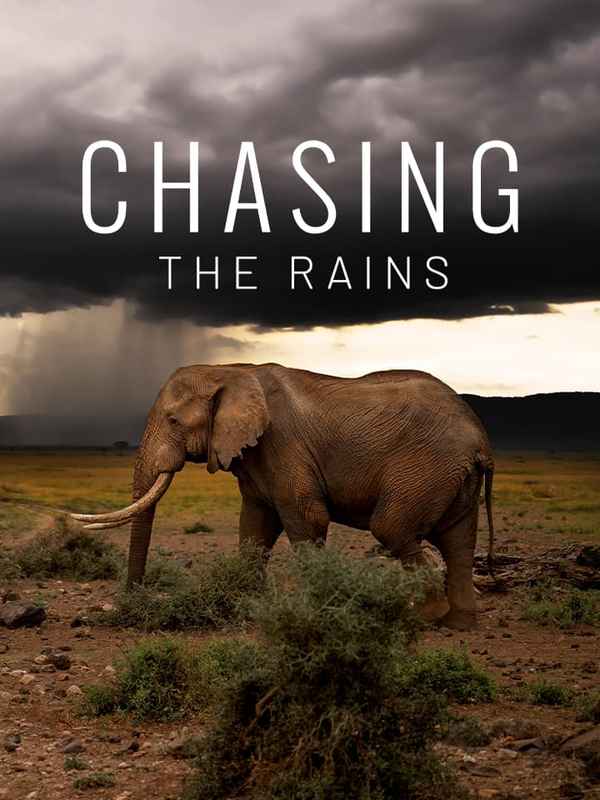 Chasing The Rains Poster 4