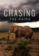 Chasing The Rains Poster 5