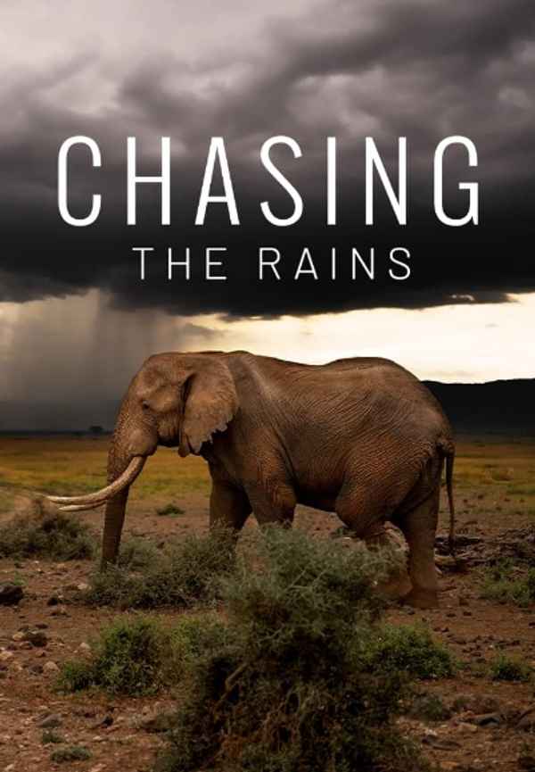 Chasing The Rains Poster 5