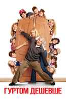 Cheaper By The Dozen Poster 7