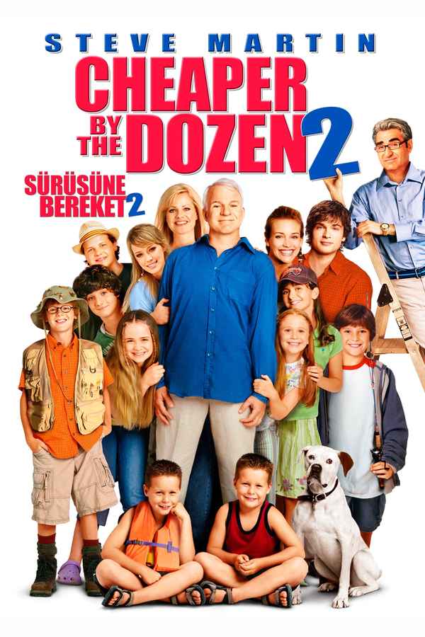 Cheaper By The Dozen 2 Poster 4