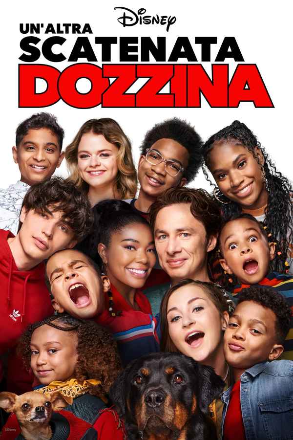 Cheaper by the Dozen Poster 7