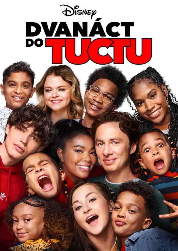 Cheaper by the Dozen Poster 5