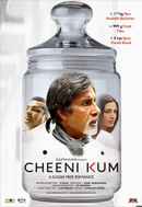 Cheeni Kum Poster 2