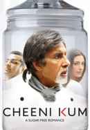 Cheeni Kum Poster 4