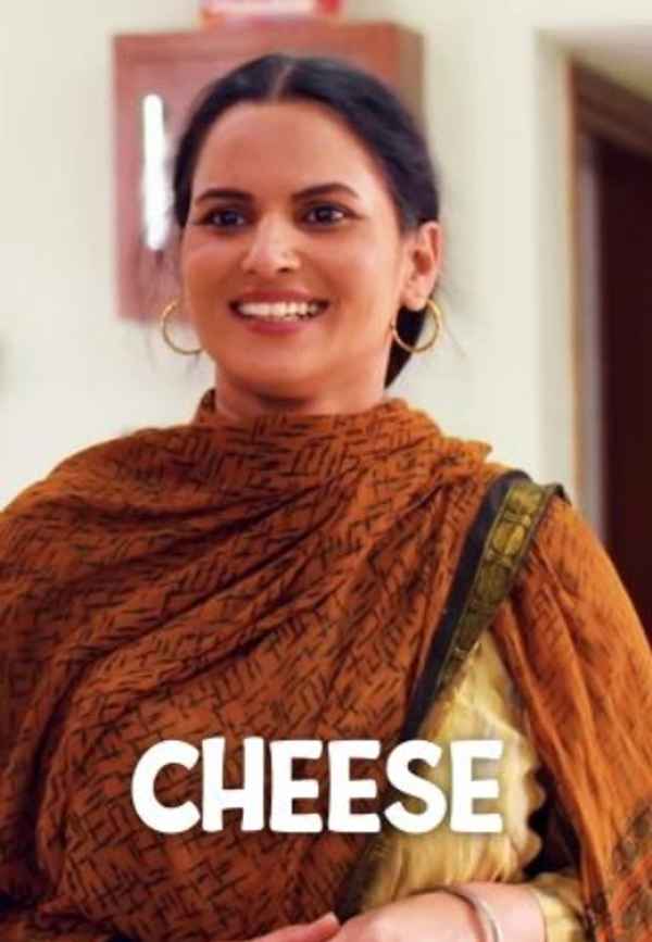 Cheese Poster 2